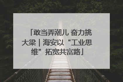 敢当弄潮儿 奋力挑大梁｜海安以“工业思维”拓宽共富路