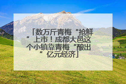 数万斤青梅“抢鲜”上市！成都大邑这个小镇靠青梅“酿出”亿元经济
