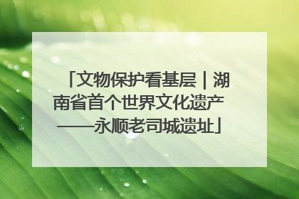 文物保护看基层｜湖南省首个世界文化遗产——永顺老司城遗址