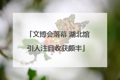 文博会落幕 湖北馆引人注目收获颇丰