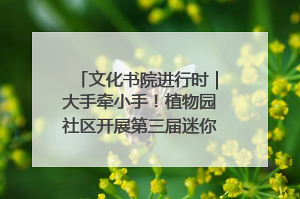 文化书院进行时｜大手牵小手！植物园社区开展第三届迷你马拉松活动