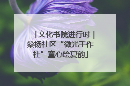 文化书院进行时｜桑杨社区“微光手作社”童心绘夏韵