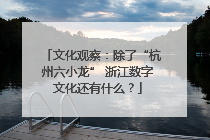 文化观察：除了“杭州六小龙” 浙江数字文化还有什么？