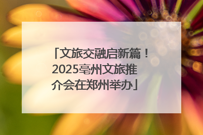 文旅交融启新篇！2025亳州文旅推介会在郑州举办