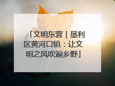 文明东营｜垦利区黄河口镇：让文明之风吹遍乡野