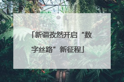 新疆孜然开启“数字丝路”新征程