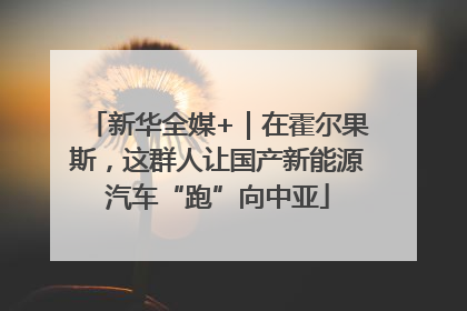 新华全媒+｜在霍尔果斯，这群人让国产新能源汽车“跑”向中亚