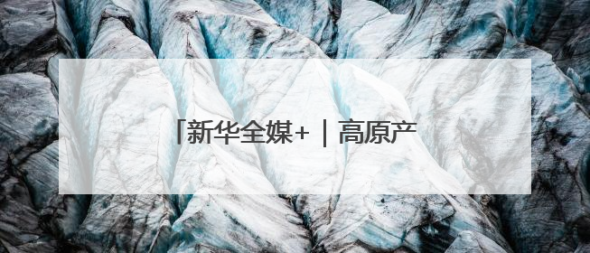 新华全媒+｜高原产品上“云”端——西藏电商发展一线观察