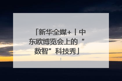 新华全媒+丨中东欧博览会上的“数智”科技秀