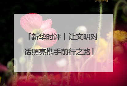 新华时评丨让文明对话照亮携手前行之路