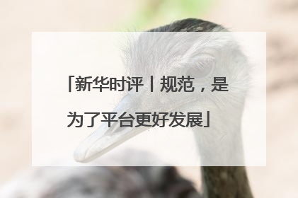 新华时评丨规范，是为了平台更好发展