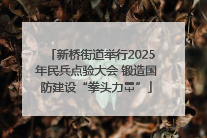 新桥街道举行2025年民兵点验大会 锻造国防建设“拳头力量”