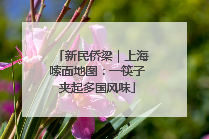 新民侨梁｜上海嗦面地图：一筷子夹起多国风味