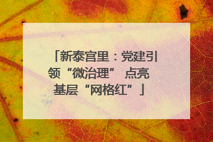 新泰宫里：党建引领“微治理” 点亮基层“网格红”