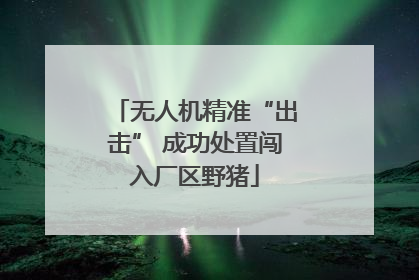 无人机精准“出击” 成功处置闯入厂区野猪