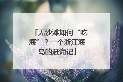无沙滩如何“吃海”？一个浙江海岛的赶海记