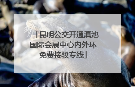 昆明公交开通滇池国际会展中心内外环免费接驳专线