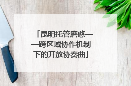昆明托管磨憨——跨区域协作机制下的开放协奏曲