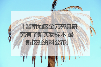 晋南地区金元葬具研究有了新实物标本 最新挖掘资料公布