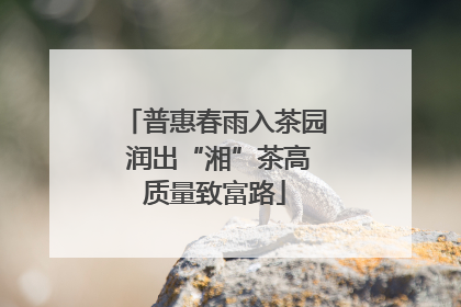 普惠春雨入茶园 润出“湘”茶高质量致富路