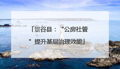 景谷县：“公房社管”提升基层治理效能