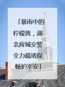 暴雨中的柠檬黄，湖北应城交警全力疏堵保畅护平安