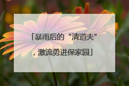 暴雨后的“清道夫”，激流勇进保家园