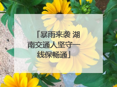 暴雨来袭 湖南交通人坚守一线保畅通
