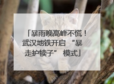 暴雨晚高峰不慌！武汉地铁开启 “暴走护犊子” 模式