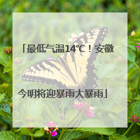 最低气温14℃！安徽今明将迎暴雨大暴雨