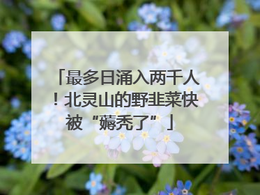 最多日涌入两千人！北灵山的野韭菜快被“薅秃了”