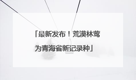 最新发布！荒漠林莺为青海省新记录种