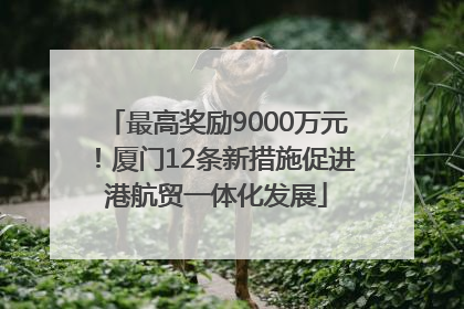 最高奖励9000万元！厦门12条新措施促进港航贸一体化发展