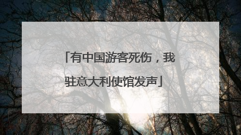 有中国游客死伤，我驻意大利使馆发声