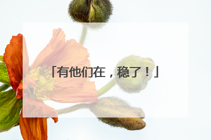 有他们在，稳了！