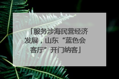 服务涉海民营经济发展，山东“蓝色会客厅”开门纳客