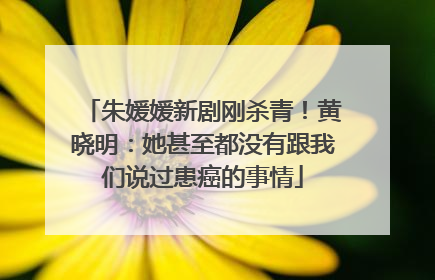 朱媛媛新剧刚杀青！黄晓明：她甚至都没有跟我们说过患癌的事情