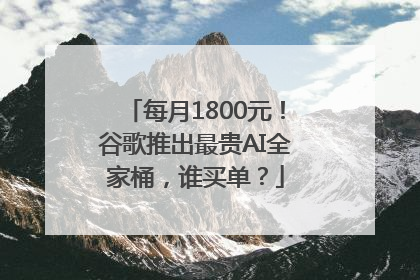 每月1800元！谷歌推出最贵AI全家桶，谁买单？