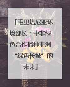 毛里塔尼亚环境部长：中非绿色合作播种非洲“绿色长城”的未来