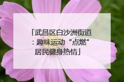 武昌区白沙洲街道：趣味运动“点燃”居民健身热情