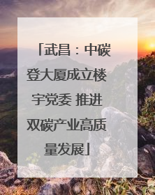 武昌：中碳登大厦成立楼宇党委 推进双碳产业高质量发展