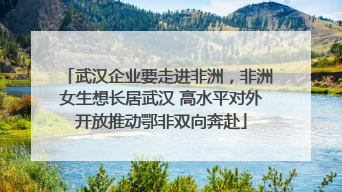 武汉企业要走进非洲，非洲女生想长居武汉 高水平对外开放推动鄂非双向奔赴