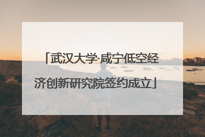 武汉大学·咸宁低空经济创新研究院签约成立