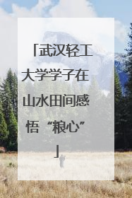 武汉轻工大学学子在山水田间感悟“粮心”