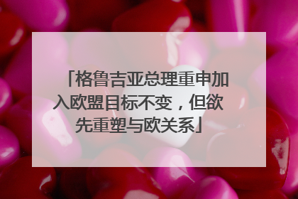 格鲁吉亚总理重申加入欧盟目标不变，但欲先重塑与欧关系