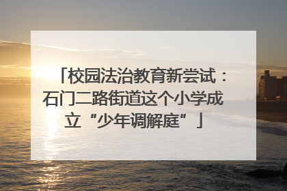 校园法治教育新尝试：石门二路街道这个小学成立“少年调解庭”