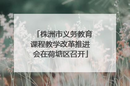 株洲市义务教育课程教学改革推进会在荷塘区召开