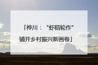 桦川：“虾稻轮作”铺开乡村振兴新画卷