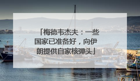 梅德韦杰夫：一些国家已准备好，向伊朗提供自家核弹头