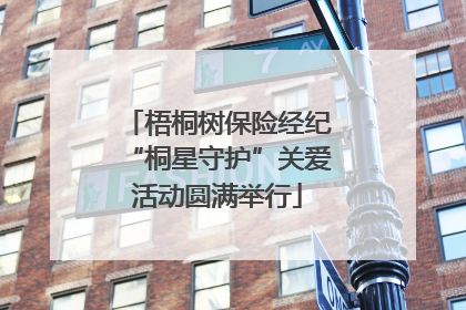 梧桐树保险经纪“桐星守护”关爱活动圆满举行
